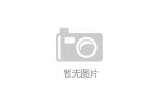 上半年大湾区内地9市进出口同比增4.3%